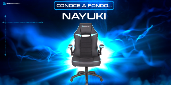Get to know in depth the new cheap gamer chair from Newskill