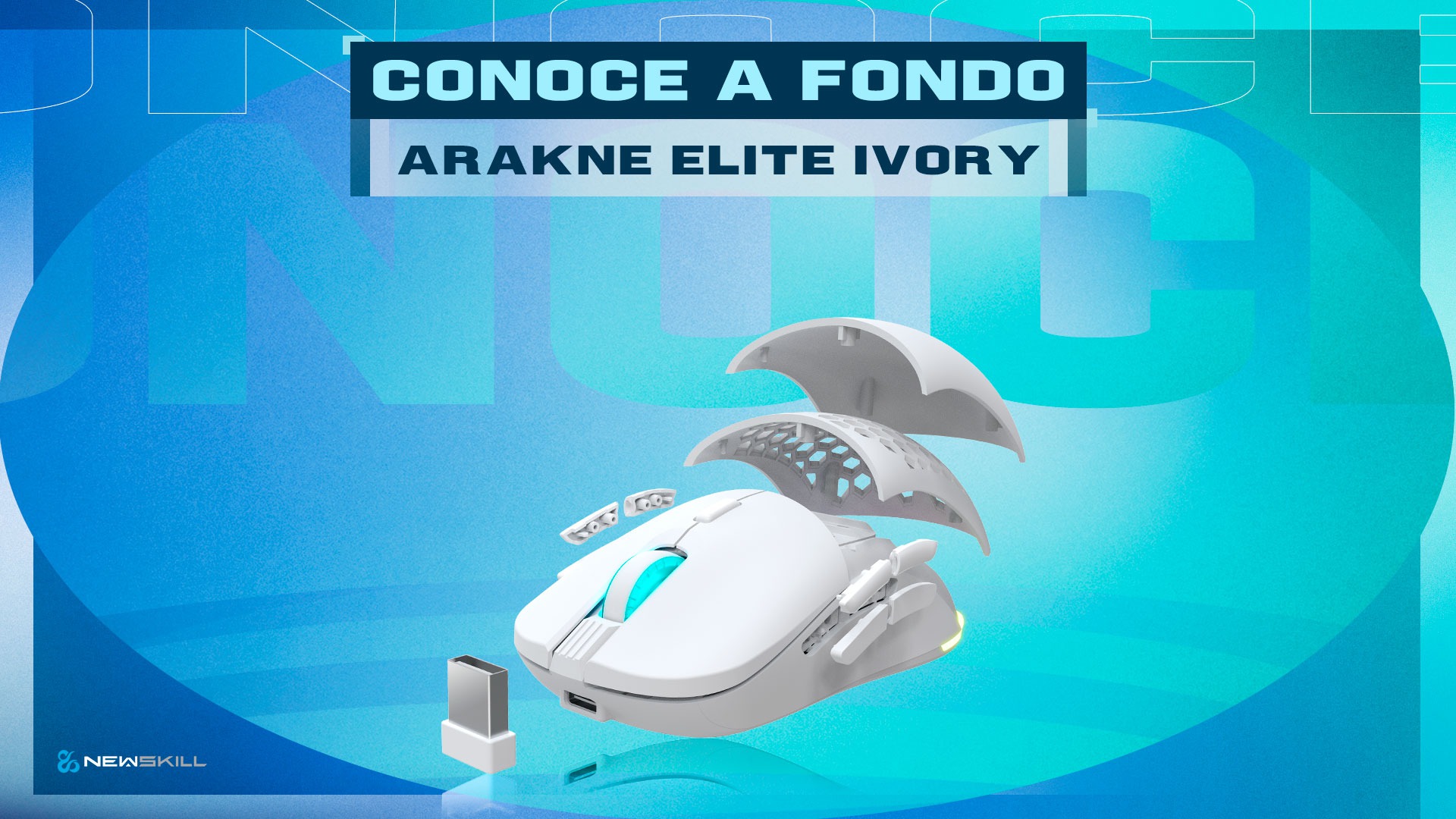 Get to know Arakne Elite Ivory in depth